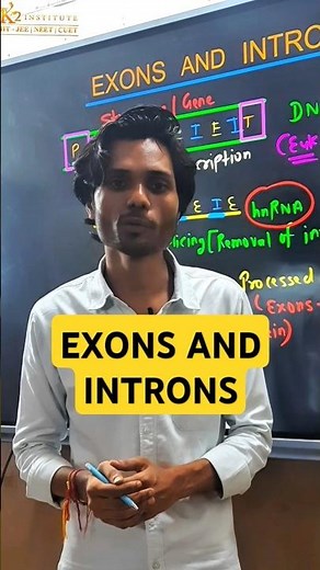 Exons vs Introns | Class XII Genetics #shorts #neet #biology #k2institute