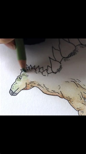 Stegosaurus artwork
