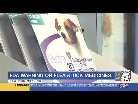 FDA warns some flea, tick treatments increase risk of seizures in pets