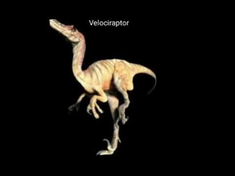 Disney Dinosaur (2000) Velociraptor Roar Sounds 🔊