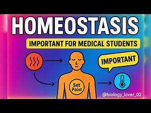 Homeostasis — one of the most essential topics in human physiology and medical studies!