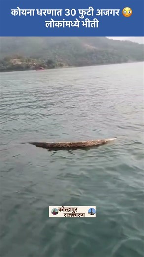 कोयना धरणात 30 फुटी अजगर 😳 लोकांमध्ये भीती