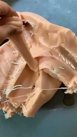 This Doll Build Is Pure Art #real doll#silicone doll #robot