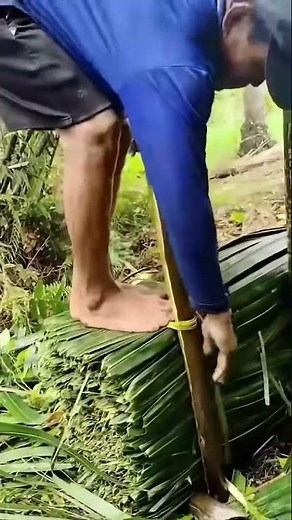 Tight coconut fiber tying method process 🌴🪢 #shorts