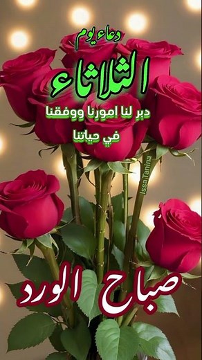 Tuesday Morning Prayer WhatsApp Status 🌞 Good Morning ❤️