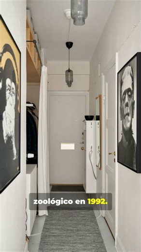 Se fue Einstein, el loro que cambió la ciencia