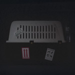 13 reactions | We've spent years exposing illegal puppy smuggling. Now's your chance to join the fight & end this cruel trade for good  | Dogs Trust | Facebook