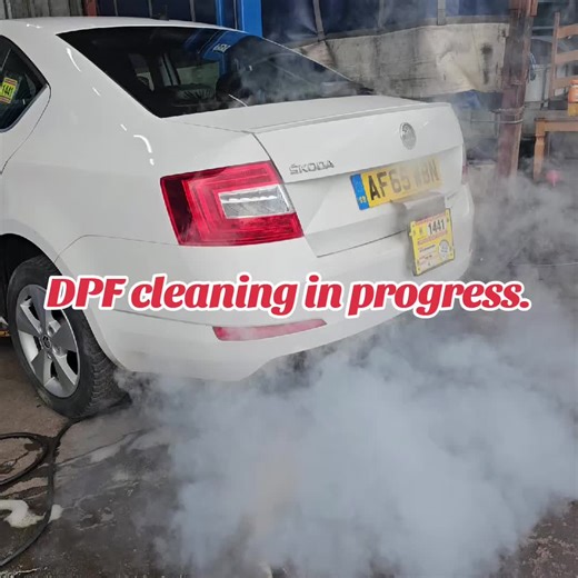 DPF Cleaning Process for Skoda Octavia