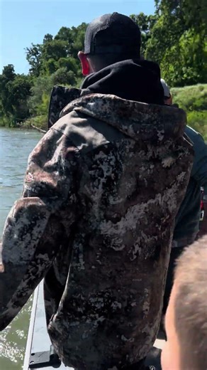 Letting the big mommas go 15lb Striper #featheriver #fishing #outdoors #striper