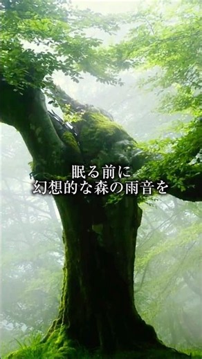 超熟睡できる 幻想的な森に降る雨とアンビエント【黒画面・8時間】/睡眠導入/リラックス/ストレス解消/チルアウト/不眠症解消/