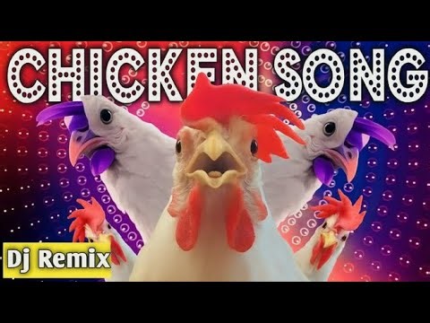 Chicken Songs 's Live broadcast