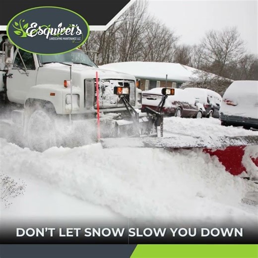 Snow Removal Professionals