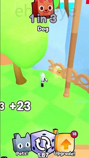 new Roblox game PETS GO!😺 first 25 hidden RELIC LOCATIONS 💛