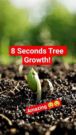 8 Seconds Tree Growth! 🌱 #tree #trees #seeds #seed