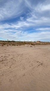 Construyendo nuestro rancho parte 9 #ranchoelcascabel #cerco #rancho #terrenos #casadecampo #Chevrolet #proyectosdeconstruccion #cabañasfamiliares #construction | Rancho “El cascabel”