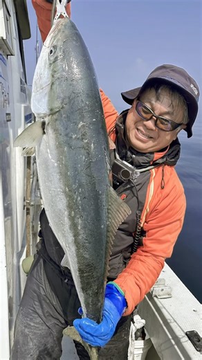 A giant yellowtail weighing 11kg has appeared in Nadachi, Niigata! #yellowtailjigging #offshore