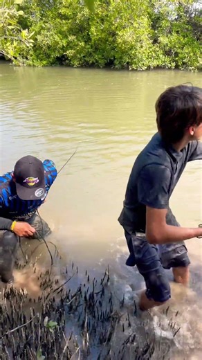 Qué es esto un cochito o un toro #fishing #lineadepesca #pesca #fish