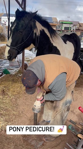 Looking good! #Horses #FerrierAtWork #hashknifeponyexpress | The Farm on Route 66
