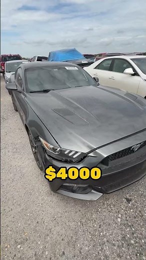 Auction Prices 🚘 #copart #mapaapp #mapabroker #auction