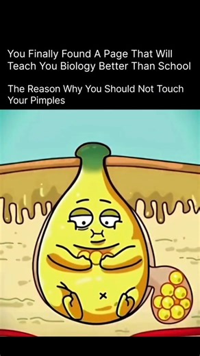 Explaining Biology on Instagram: "✨ Why You Should Never Touch or Pop Your Pimples (Even When It’s Tempting!) ✨ When you spot a pimple, your first instinct might be to poke, squeeze, or try to “fix” it. But here’s what really happens when you touch your pimples: 1️⃣ You Spread More Bacteria Your hands carry bacteria, oil, and dirt—even when they look clean. Touching your face transfers all of that to your skin, making your breakout worse instead of better. 2️⃣ You Push Inflammation Deeper Poppin