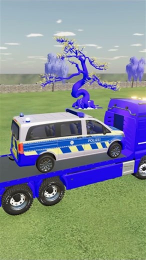 color car driver #fs22 #policecar