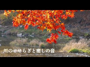 【秋の紅葉と川】川のせせらぎと癒しの音