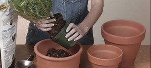 How to Drill a Hole in a Ceramic Pot | DoItYourself.com