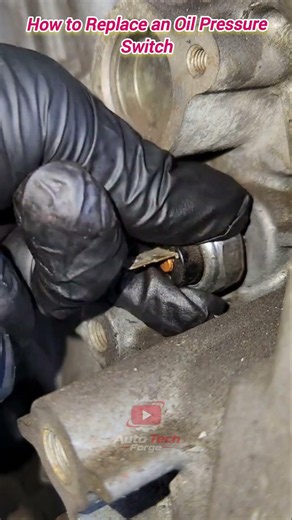 How to Replace an Oil Pressure Switch #shorts #mechanic #automotive