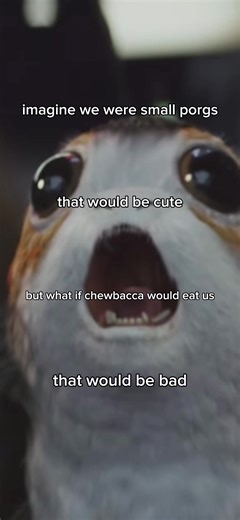 I want a porg. #starwarsfan #firstorder #battlefront3 #resistance #porg #chewbacca #fyp #cutie @whosthisdEVA
