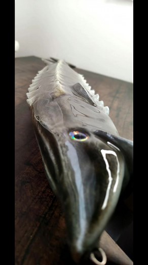 I think this is the biggest Mega Lures so far 35in.#sturgeon #sturgeonfishing #fishing #fishingtiktoks #luremakerswife #megalures