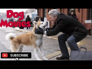Top 10 Dog Movies