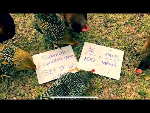 Proportion with percent song