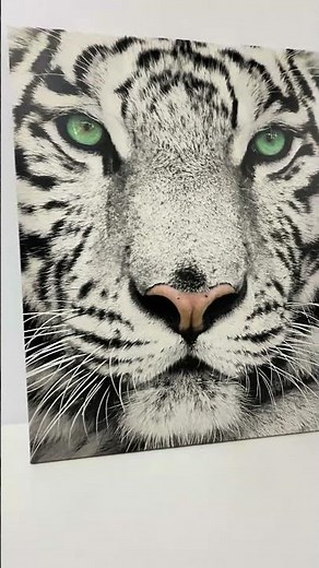 Canvas schilderij met witte tijger | Krachtige wanddecoratie met dieren - Nikkel Art