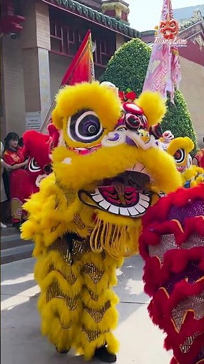 Múa Lân Đẹp Nhất