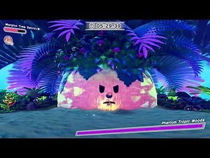 A Time Rending Morpho Sword - No Items Wild Mode UCZ