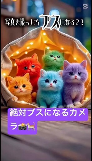 絶対ブスになっちゃうカメラ📸🐈 Funny Cat Meme 😂 猫ミーム#CatMeme #ai #Viral #Shorts #猫