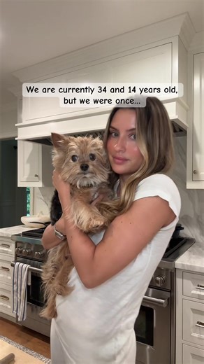 Yorkie Growing Up: A Journey Through the Years