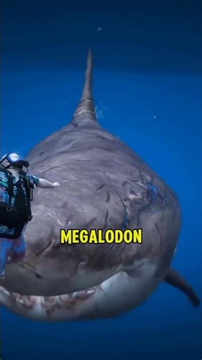 GTA 5 me megalodon 🦈#gta5