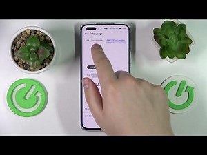 HONOR Magic 4 Pro - How To Check Data Usage