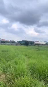 Budak2 main layang2 ❎ Layang2 main budak ✅ Credit 🎥 : Pang Lima Sungai | Tribune Malaya