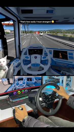 Blind trust in ETS 2 😅 #shorts #est2 #youtubeshorts #eurotrucksimulator2 #shortvideo