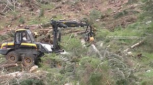 Harvester Forwarder & More on Reels