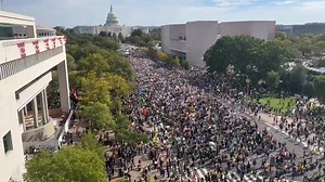 Massive anti-Trump protest in DC. #ChildRapistTrump | OWS Week