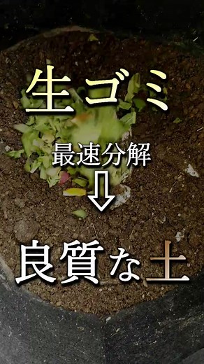 ミミズを使った生ゴミコンポストの極意