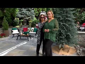 Susan Graver Printed Woven Blouse with Lurex Knit Cami on QVC