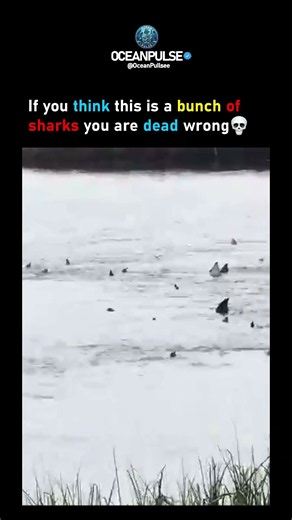 Not What You Think 🌊😱 #shorts