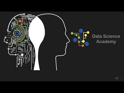 This is the Big Difference Between Statistics and Machine Learning