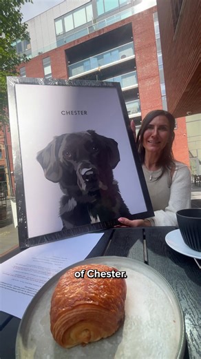 1.3K views | The PAW-fect way to show off your pet!  Unlimited Revisions  Free Previews  Designed by real, talented artists  Rated Excellent on Trustpilot Join over 600,000 happy customers today ❤️ | Crown & Paw | Facebook