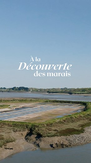 Comment nos sels sont-ils récoltés dans les marais salants de Guérande ? 🤔 Laissez-vous emporter dans l'univers captivant des marais salants et découvrez le processus de récolte de nos sels par nos paludiers, avec passion et authenticité ! Un savoir-faire transmis de génération en génération pour sublimer vos plats avec excellence et caractère. 🌊✨ | Le Guérandais - Sel de Guérande
