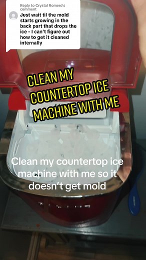 Cleaning my Countertop Ice Machine with Vinegar Water